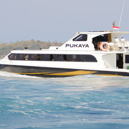 Sailing komodo speedboat Pukaya melaju di perairan Labuan Bajo