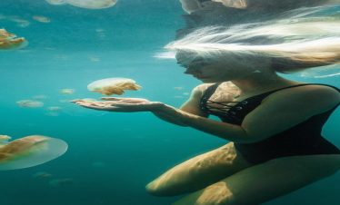 4 HARI 3 MALAM — OPEN TRIP DERAWAN