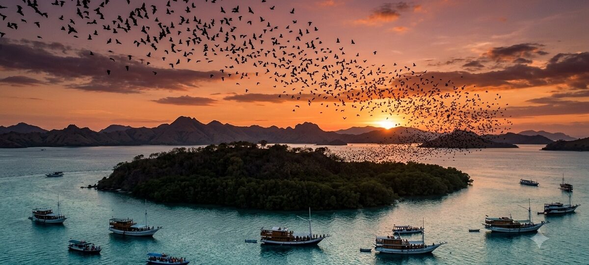 Pulau Kalong Labuan Bajo