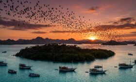 Pulau Kalong Labuan Bajo