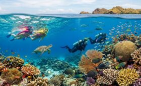 Snorkeling dan Diving di Komodo
